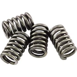 Ebc CSK55 Clutch Kit 10% Stiffer Than Oem Springs. Fixed Price $16.88.