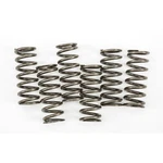Ebc Brakes Clutch Springs CSK221. Fixed Price $42.32.