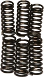 Ebc CSK191 Clutch Spring Kit +15% For 01-07 Yamaha YZ250F. Fixed Price $21.95.