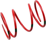 Venom Steel Team Secondary Clutch Spring 120-220 Red/green. Fixed Price $32.04.