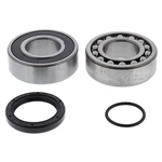 Balls Jackshaft Bearing & Seal Kit 14-1071. Fixed Price $39.56.