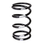 Slp High Performance Drive Clutch Spring Black / Silver 40-66. Fixed Price $34.95.