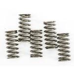 Ebc Brakes Clutch Springs CSK237. Fixed Price $27.11.