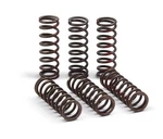 Pro Circuit Clutch Springs CSH21450-CS 1131-3719 793-6081. Fixed Price $73.99.