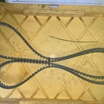 2011 Can-am Spyder Rt Primary Used Oem Drive Belt 705501154 Low Miles. Fixed Price $125.00.