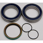 Balls Chain Case Bearing & Seal Kit 14-1035. Fixed Price $38.68.