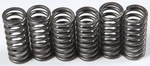 Series Clutch Springs +15% Ebc CSK210. Fixed Price $36.95.
