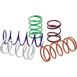 Epi PS-6 Primary Drive Clutch Spring Silver. Fixed Price $34.76.