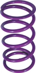 Epi Secondary Driven Clutch Spring Purple PDS-6. Fixed Price $30.35.