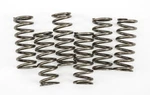 Ebc CSK221 Clutch Springs. Fixed Price $37.83.