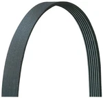 Fan To Ac Serpentine Belt Fits International 9400, Freightliner, Peterbilt,. Fixed Price $32.02.