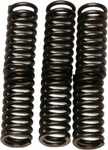 Ebc CSK81 Clutch Springs. Fixed Price $22.05.