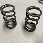 Arctic Cat Oem Titanium Clutch Springs 0646 373. Fixed Price $150.00.