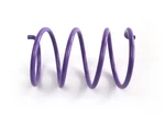 Epi Secondary Clutch Spring Purple #PEBS21 Polaris. Fixed Price $32.17.