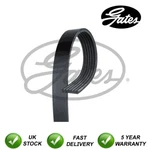 Gates V-ribbed Belts Fits Vw Bmw Chevrolet Vauxhall Mercedes Ford Opel #6055. Fixed Price $32.08.