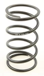 Speedwerx Secondary Springs Black CCH5-N-150-250. Fixed Price $52.20.