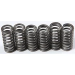 Ebc Brakes Clutch Springs CSK210. Fixed Price $42.32.