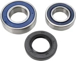 Balls Chain Case Bearing & Seal Kit #14-1052 Fits Yamaha. Fixed Price $35.89.