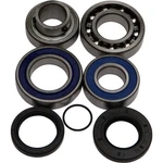 Balls Chain Case Bearing & Seal Kit 14-1059. Fixed Price $117.53.