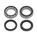 Chain Case Bearing Kit For Arctic Cat Snowmobiles 2012-2018 SM-03206. Fixed Price $32.98.