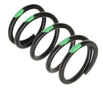 Venom Steel Primary Clutch Spring 145-295 Black/bright Green #210135-014 Polaris. Fixed Price $32.04.