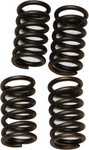 Ebc Clutch Spring Kit CSK55. Fixed Price $12.99.