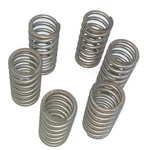 Ebc Series Clutch Springs +15% CSK140. Fixed Price $20.95.