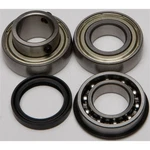 Balls Chain Case Bearing & Seal Kit 14-1057. Fixed Price $61.94.
