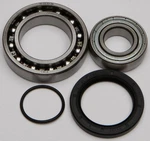 Balls 14-1041 Chain Case Bearing And Seal Kits. Fixed Price $61.15.