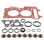 Ski-doo Skandic & Swt 600 Ace, 2014-2017, Top End Gasket Set. Fixed Price $208.45.