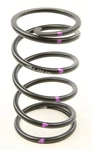 Speedwerx CCH5-L-180-270 Driven Clutch Spring Black/purple. Fixed Price $66.56.