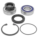 1989-1990 Polaris 500 Lower Shaft Balls Drive Bearing And Seal Kit. Fixed Price $48.72.