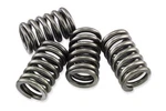 Coil Type Clutch Spring 161868 EBCCSK138. Fixed Price $18.15.