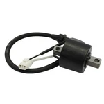 Spi Ignition Coil #SM-01176 Arctic Cat/polaris. Fixed Price $41.47.