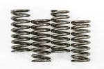 Ebc CSK248 Clutch Springs. Fixed Price $39.19.