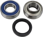 Balls Chain Case Bearing & Seal Kit #14-1024 Ski-doo. Fixed Price $38.45.