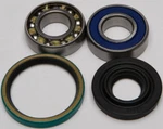 Balls 14-1017 Chain Case Bearing & Seal Kit. Fixed Price $36.33.