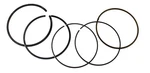 Namura Standard Bore Piston Rings Fits Polaris Predator 500 & Outlaw 99.2MM. Fixed Price $21.95.
