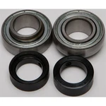 Balls Chain Case Bearing & Seal Kit 14-1037. Fixed Price $42.75.