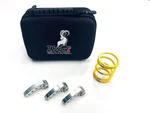Ibexx Stage Clutch Kit For 2019-2021 Ski-doo Backcountry E-tec 850. Fixed Price $341.83.