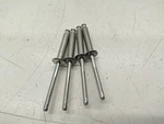 Rivet Qty 4 - 2000 Polaris Nos. Fixed Price $11.80.