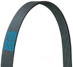 Serpentine Belt Poly-v Dayco 5060436 6PK1107. Fixed Price $9.99.