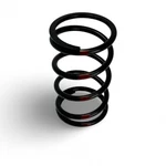 Polaris 2015-24 Rzr Sportsman General Ace Black Primary Clutch Spring 7044263. Fixed Price $19.95.