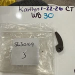 (1) Nos Vintage Polaris Clutch Weight 5630109, Sold Individually. Fixed Price $19.80.