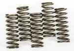 Series Clutch Springs Ebc CSK254. Fixed Price $34.31.