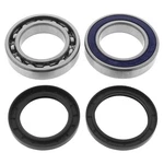 2012-2013 Arctic Cat Xf 1100 Lxr Lower Shaft Drive Bearing & Seal Kit. Fixed Price $63.47.