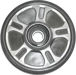 Ppd 2005 7 Firecat (efi) 128" Arctic Idler 5.63" X Mm Sil S/m R5630. Fixed Price $74.18.