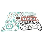 Ski-doo Expedition 900 Ace, 2015-2018, Full Gasket Set With Seals Le. Fixed Price $389.58.