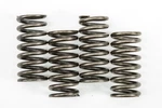 Ebc Clutch Springs CSK248. Fixed Price $29.37.
