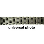 Silent Chain 66 Links 13W For Various Snowmobile Models 03-112-01. Fixed Price $129.47.